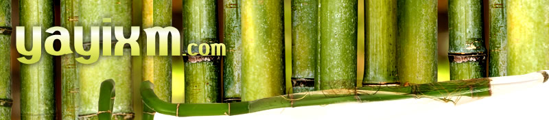 All about Bamboo, care and tips.